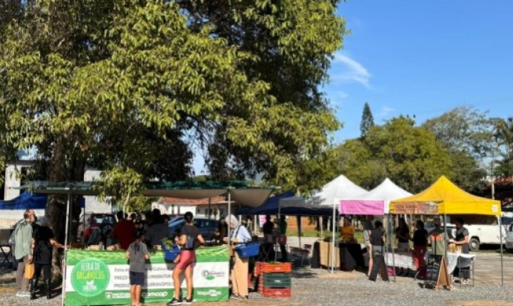 Viva Feira amplia experiências culturais na Capital
