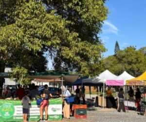 Viva Feira amplia experiências culturais na Capital