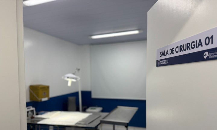 Hospital Cão Orelha registra alta procura