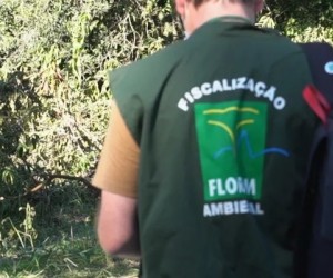 Justiça suspende portaria que fragilizava fiscalização ambiental