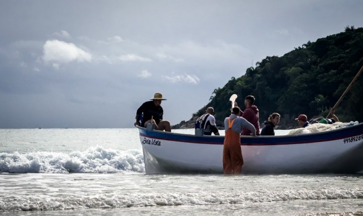 Pesca artesanal da tainha em SC deve receber cota extra