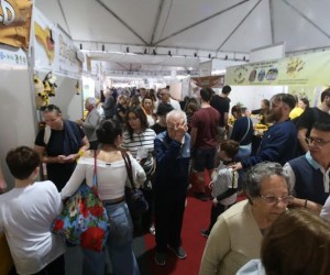 Feira do Mel começa hoje na Capital