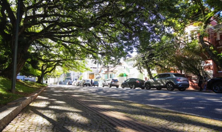 Floripa abre consulta para ampliar arborização urbana