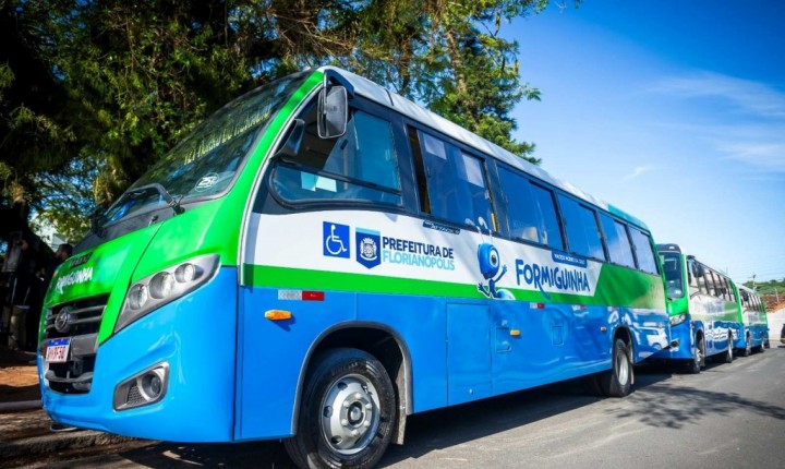 Formiguinha ganha nova linha