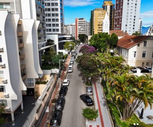 Arborização da Capital ganha participação dos moradores