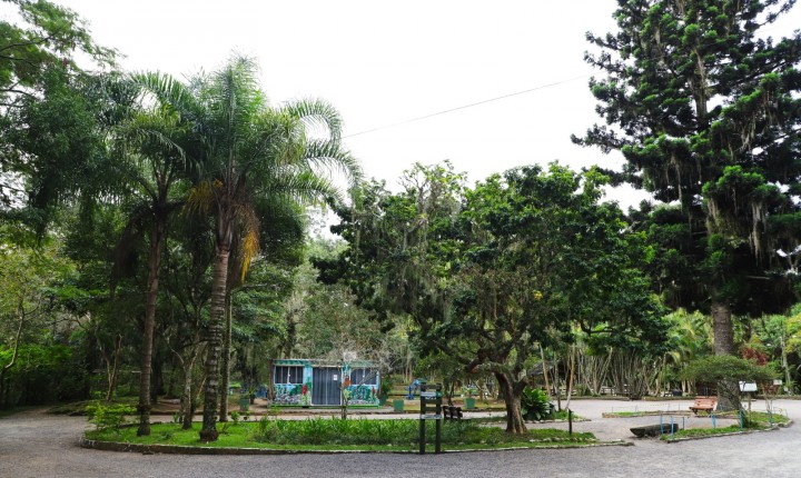 Jardim Lilás será criado em Florianópolis