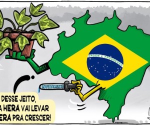 Por uma Ivy League brasileira, por Vinicius Lummertz