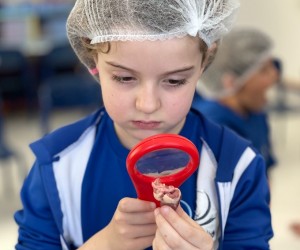 Projeto transforma curiosidade infantil em ciência