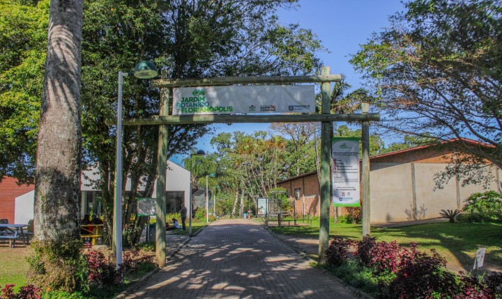 Dia do Bambu terá oficina prática em Florianópolis
