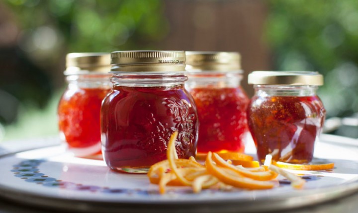 A geleia: sua história e suas estórias