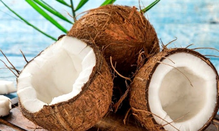 Como a alimentação pode prevenir a doença?