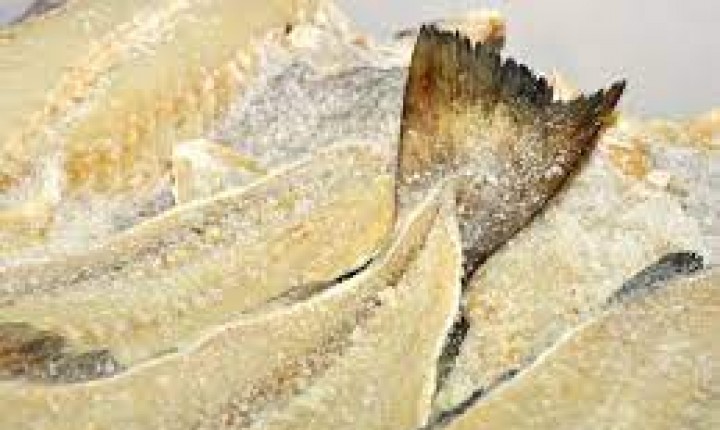 Na semana da Páscoa, Procon auxilia consumidores