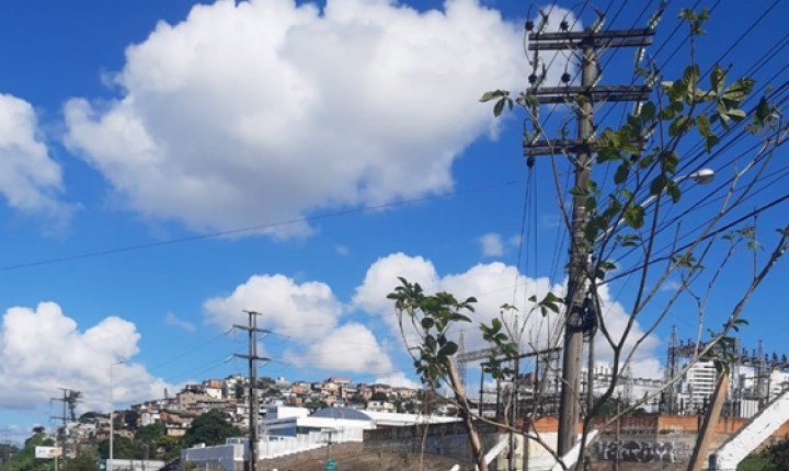 Cabeceira da ponte Colombo Salles ganha plantio de árvores