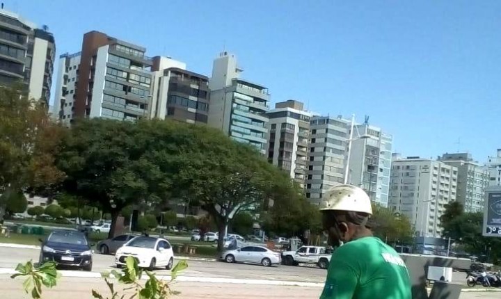 Árvores afetadas recebem poda na Beira-Mar Norte