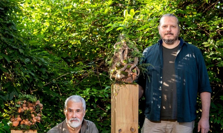 O Tropicalista convoca Assembleia para ouvir outras formas de vida