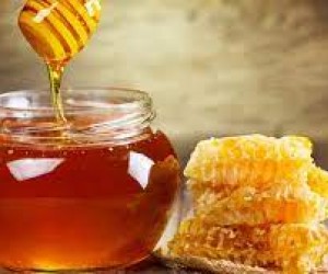 Começou a 2ª Feira Virtual do Mel 