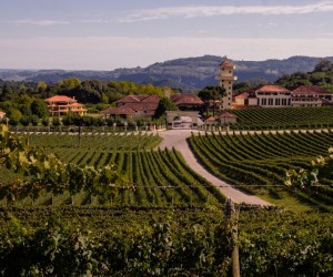 Conheça a Melhor Vinícola do Ano