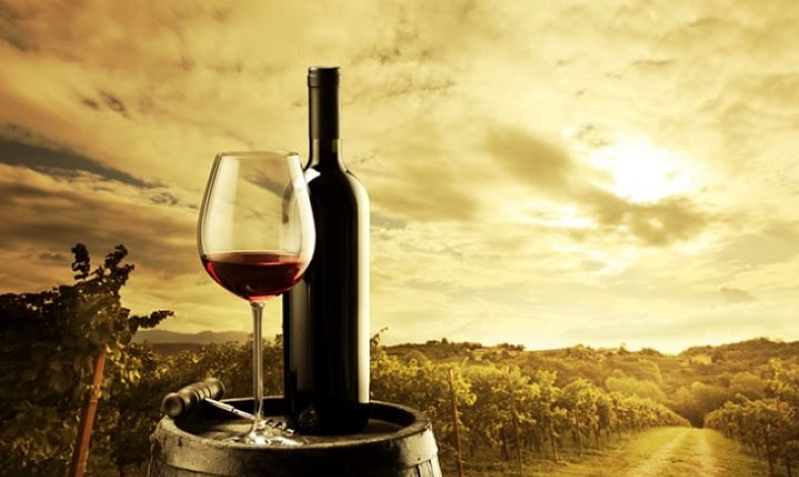 Vinhos de Altitude de Santa Catarina conquistam Indicação Geográfica