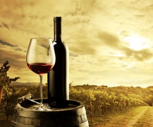 Vinhos de Altitude de Santa Catarina conquistam Indicação Geográfica