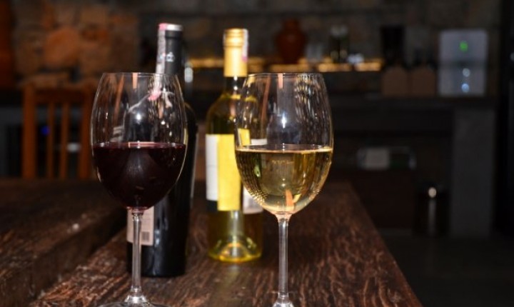 Vinhos de Altitude de SC: pesquisas ultrapassam 30 anos