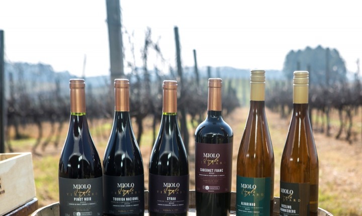 Da Campanha Gaúcha para a mesa