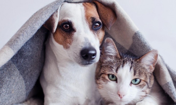 Ação de acolhimento está sendo preparada na Capital