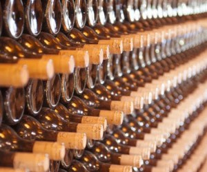 Rota Turística Vinhos de Altitude é criada em SC;