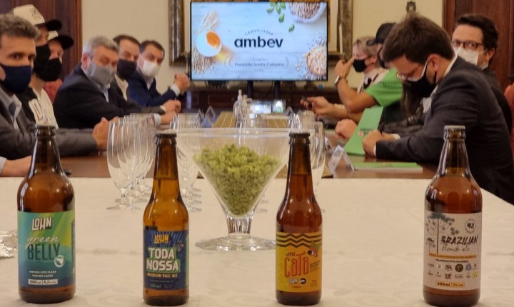Primeira cerveja 100% catarinense começa a ser comercializada