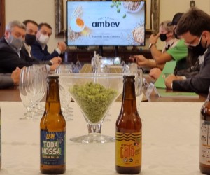 Primeira cerveja 100% catarinense começa a ser comercializada