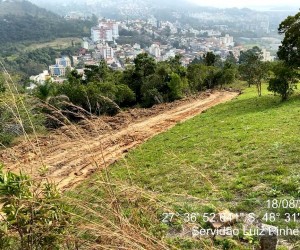 Loteamento clandestino é interditado na Capital