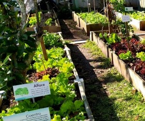 Cultiva Floripa participa de curso em parceria com Universidade de Yale e FGV