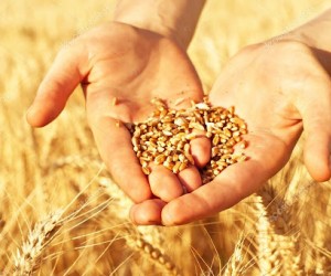 Brasil: o joio enfim se separa do trigo, por Vinicius Lummertz