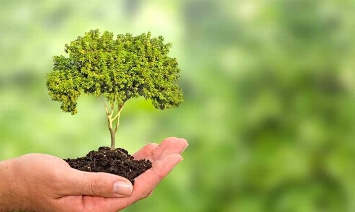 Vinicius Lummertz trilha pelo Ecoturismo