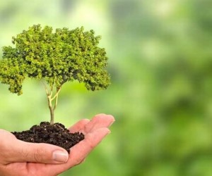 Vinicius Lummertz trilha pelo Ecoturismo