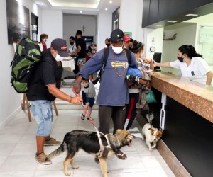 Pessoas em situação de rua aceitam acolhimento com seus melhores amigos na Capital