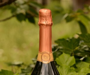 Villa Francioni concorre à 'Vinícola do Ano'