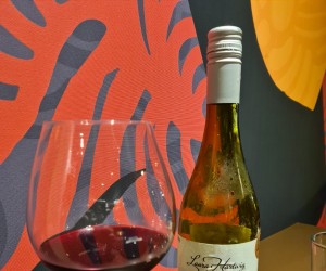 Vino! Floripa realiza degustação dos premiados vinhos chilenos Laura Hartwig