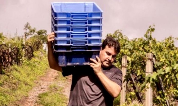 Reality show mostra o que ninguém vê na elaboração de um espumante tradicional