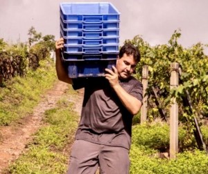 Reality show mostra o que ninguém vê na elaboração de um espumante tradicional