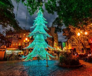 Espetáculo artístico marcará o Desfile de Natal em Florianópolis