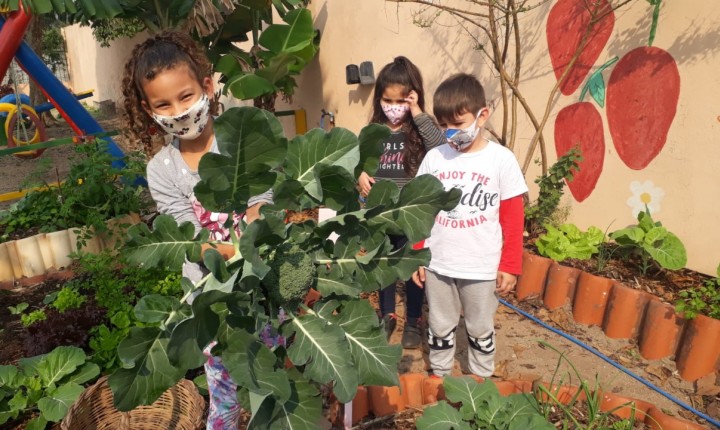 A fila andou e crianças menores começam a ser vacinadas neste sábado