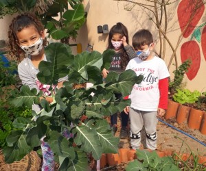 A fila andou e crianças menores começam a ser vacinadas neste sábado