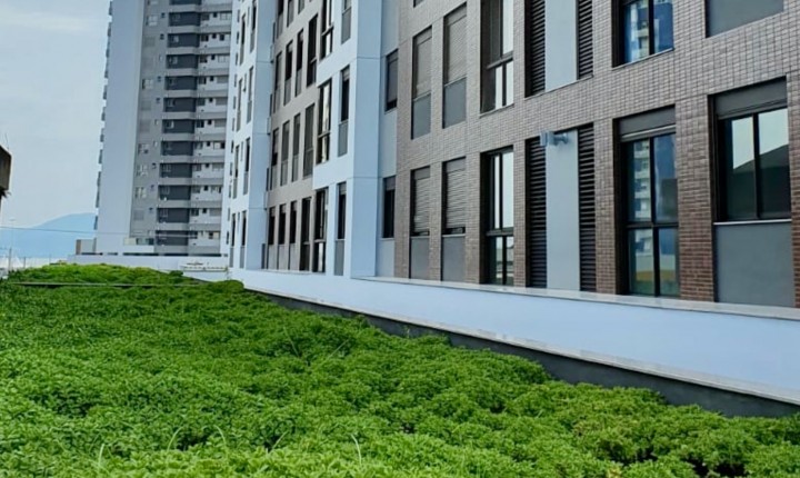 Uso de telhados verdes é opção sustentável