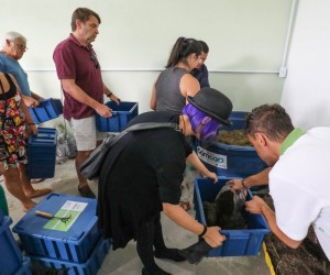 Quarta etapa do Projeto incentiva sustentabilidade 