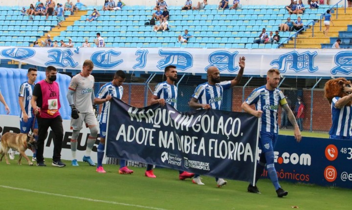Avaí entra em campo com cachorros para adoção 