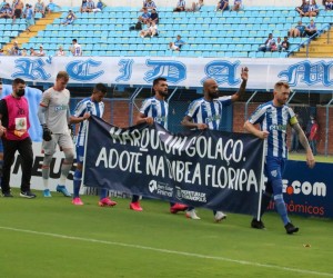 Avaí entra em campo com cachorros para adoção 