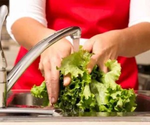Alimentos mal lavados podem causar doenças