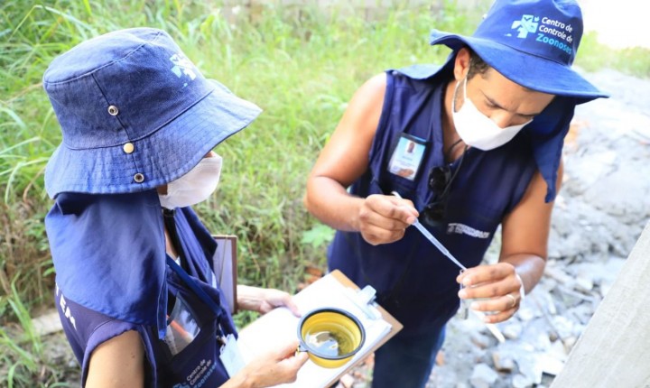 Bairro está infestado de focos de aedes aegypti na Capital