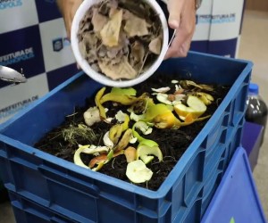 Oficinas abertas ao público iniciam neste sábado, 19