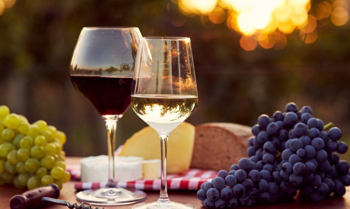 Os bastidores dos vinhos orgânicos